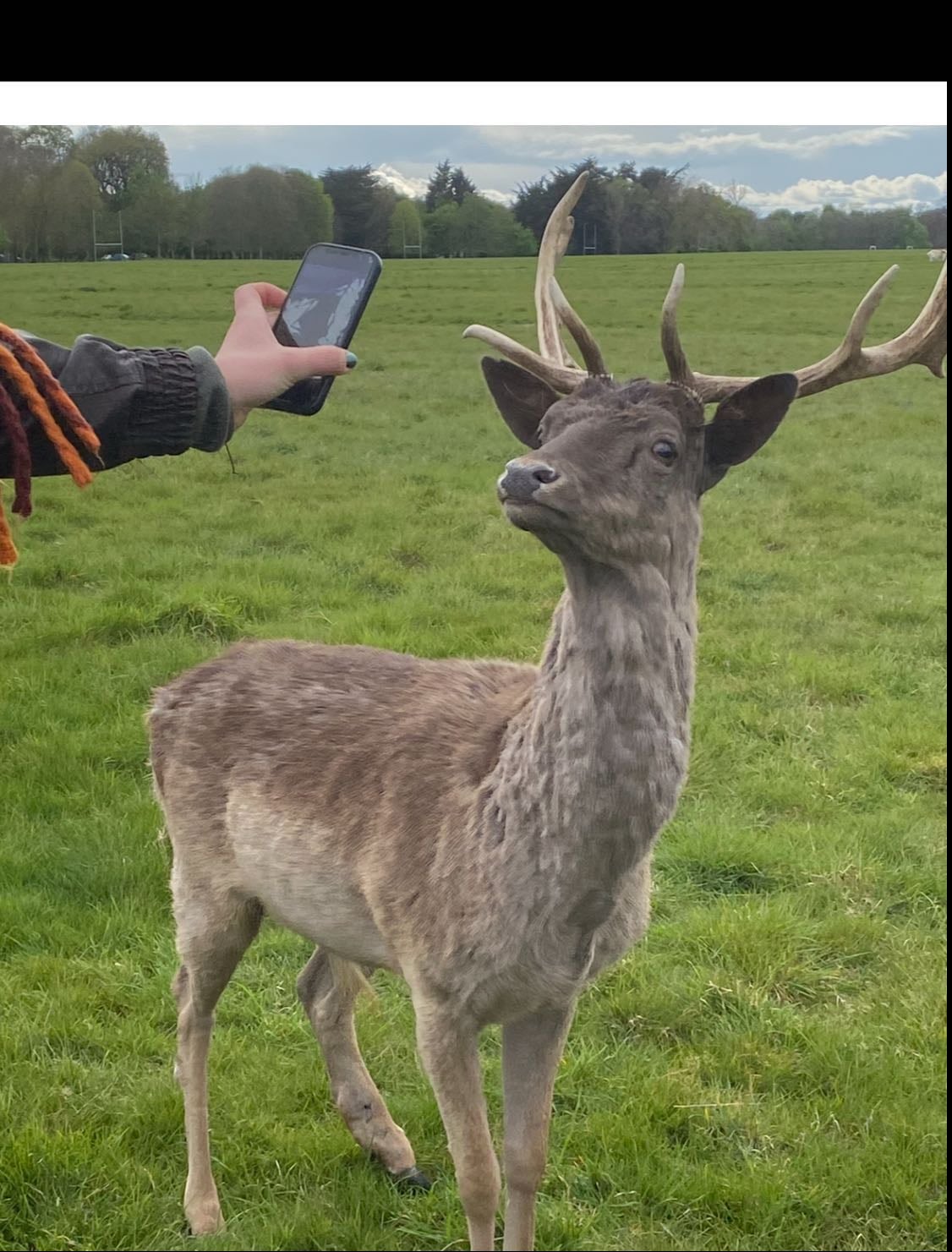 Phoenix Park