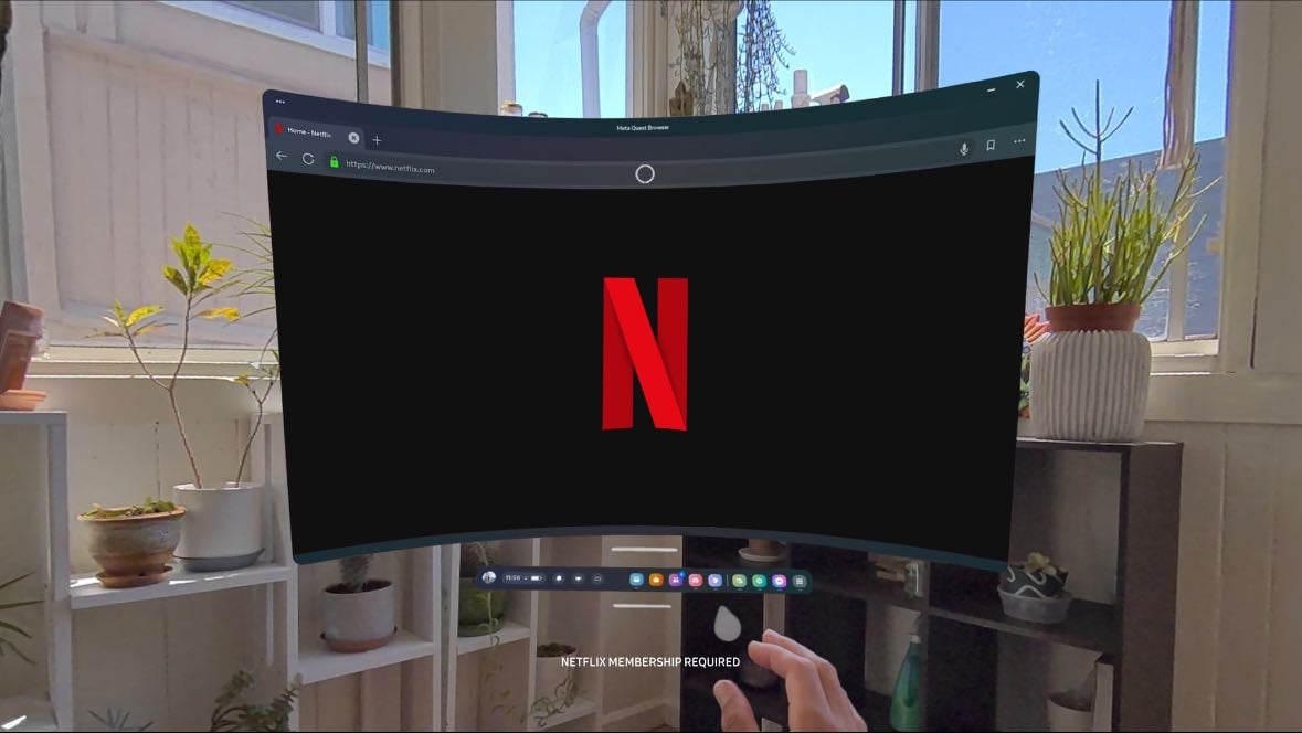 Netflix schauen