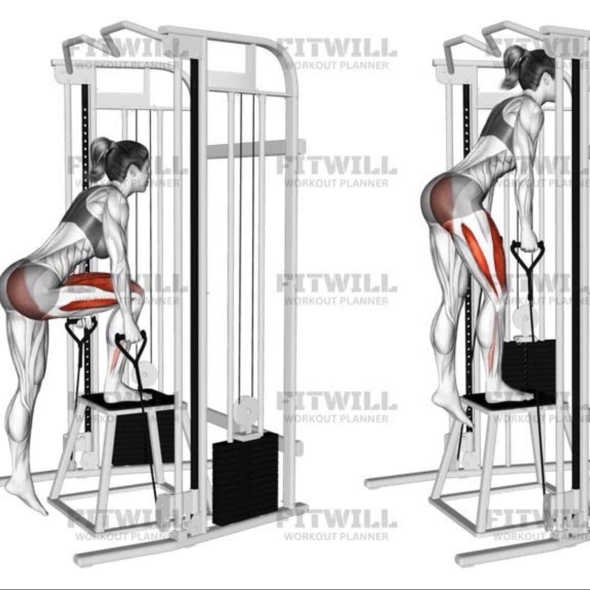 Cable glute step up