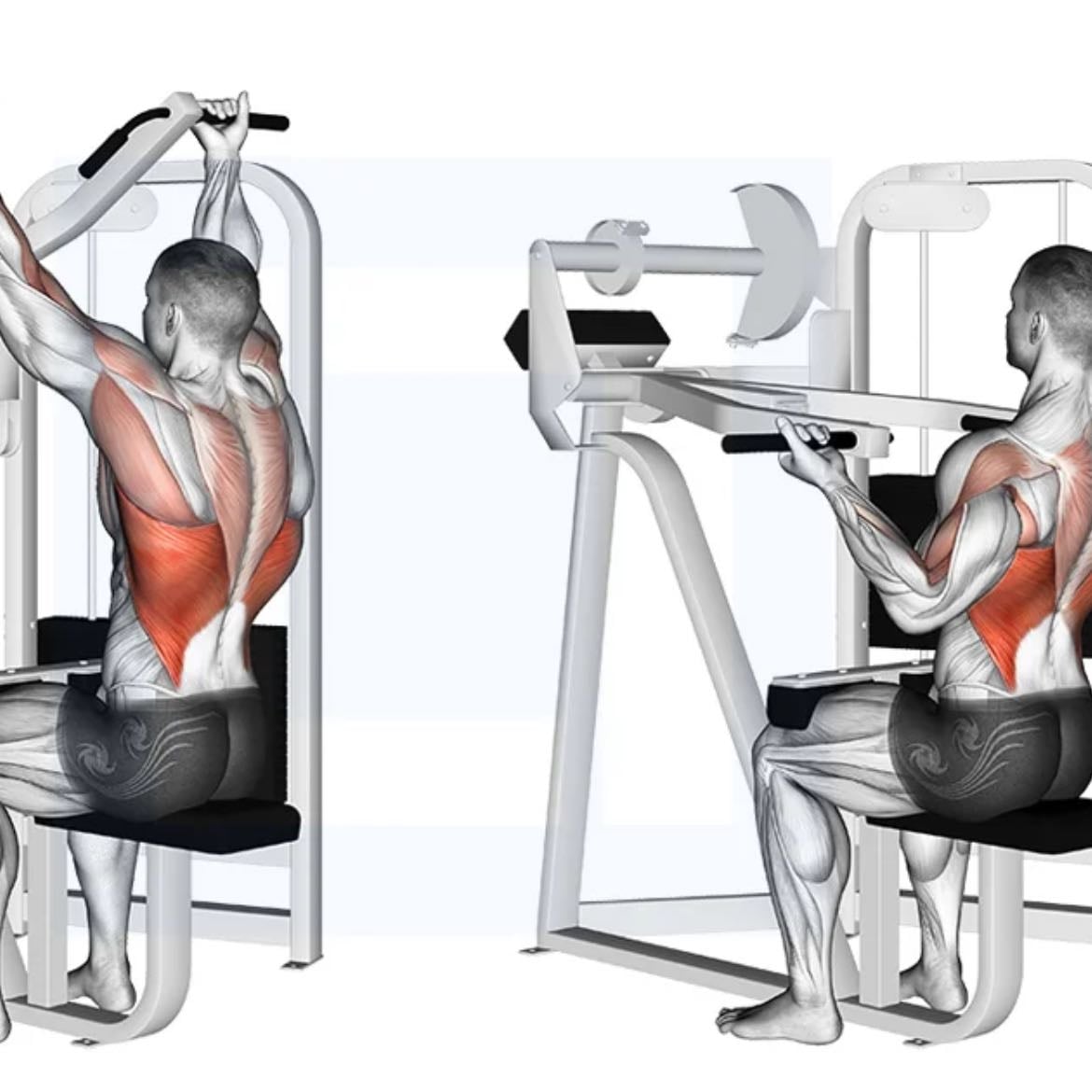 Reverse Grip Machine Lat Pulldown