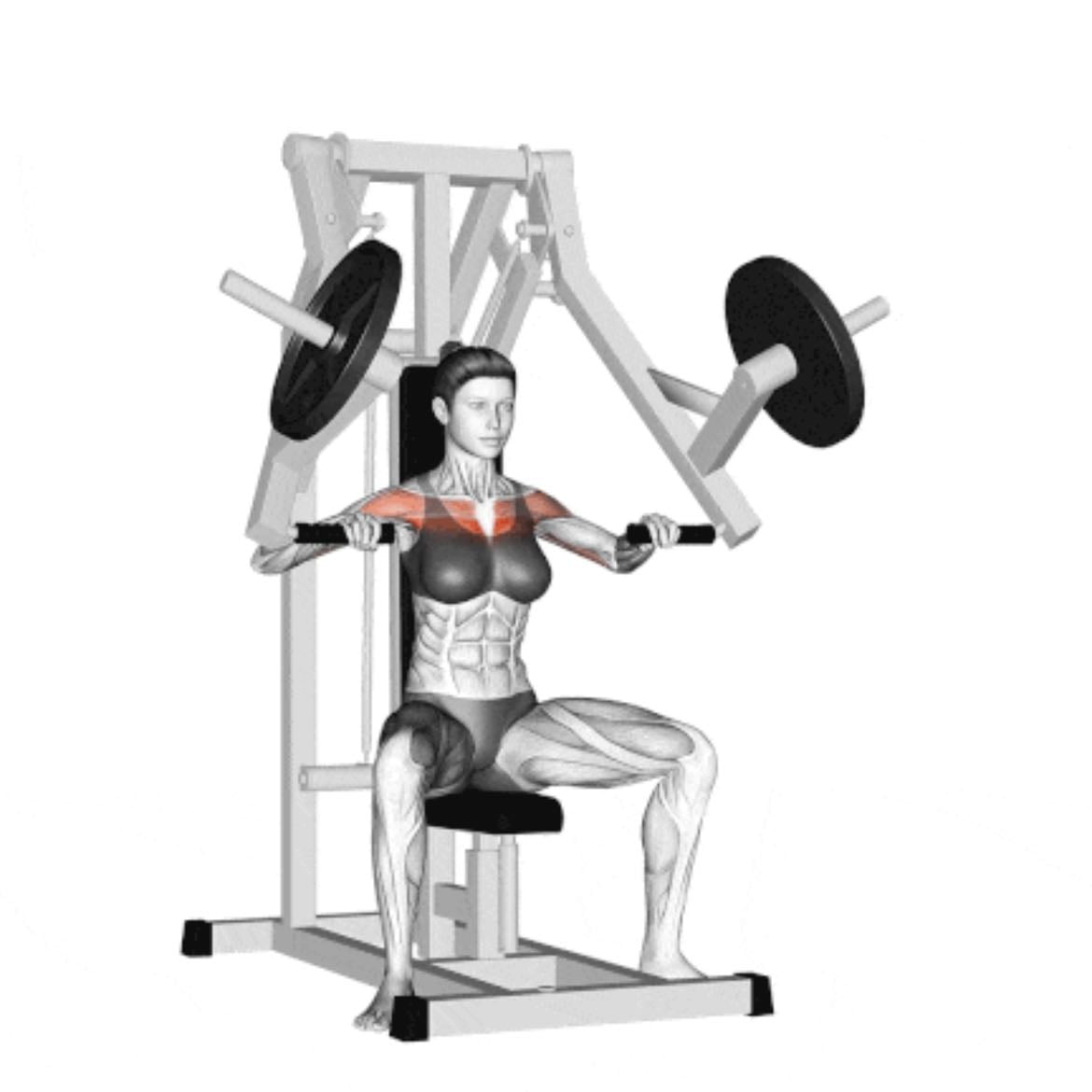 Chest press