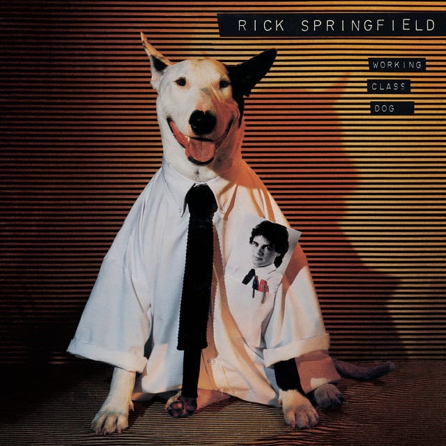 Jessie's Girl - Song 路 Rick Springfield
