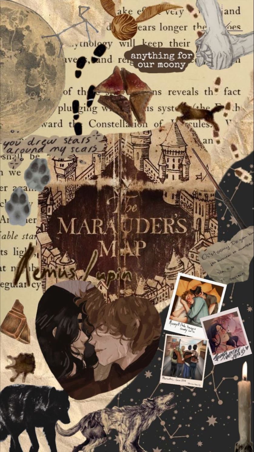 You Drew Stars Around My Scars: An Analysis of Wolfstar Fan Vidding