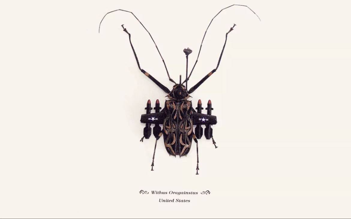 The alien beauty and creepy fascination of insect art