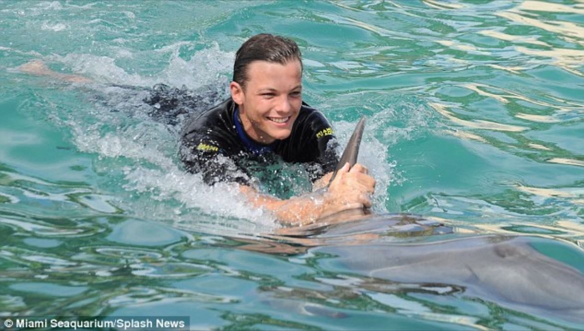 Dolphin.