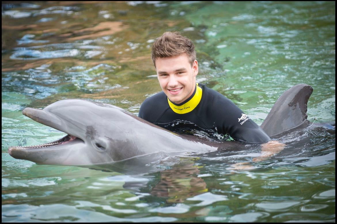 Liam and a dolphin