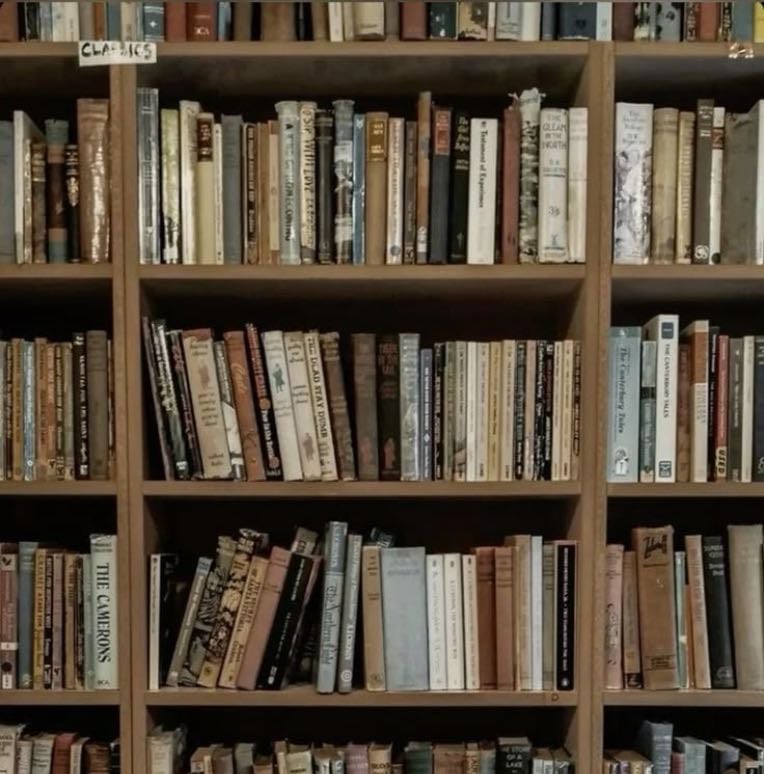 books🧸