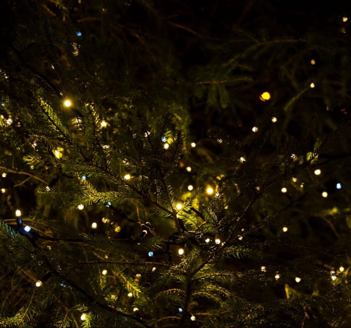 Christmas list๐ - Other hypelist by Amelia Marianska