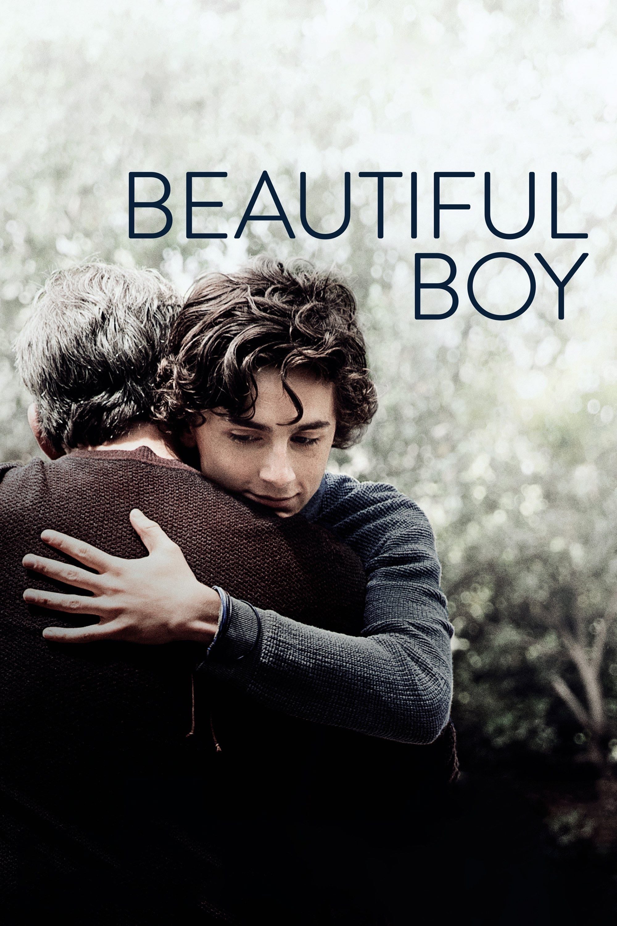 My Beautiful Boy - Felix van Groeningen · 2018