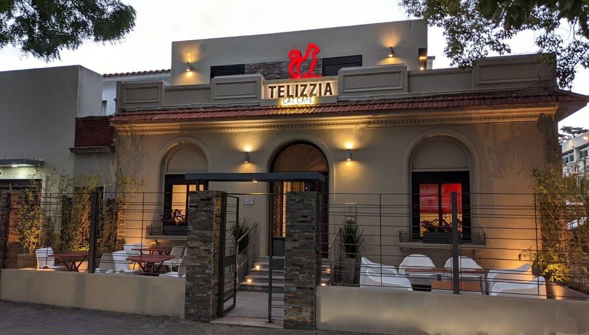 Telizzia Cat Café
