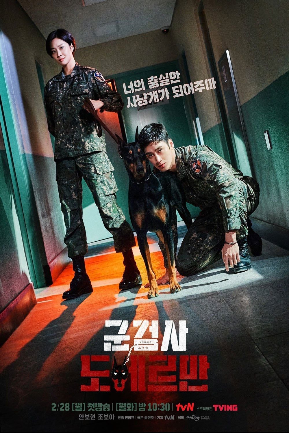 Procureur Militaire Doberman - 2022