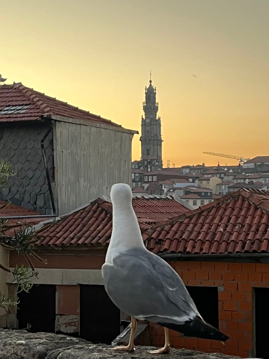 Oporto