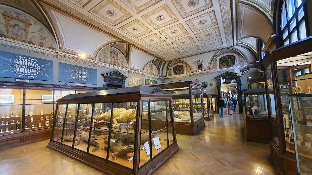 Museum of Natural History Vienna