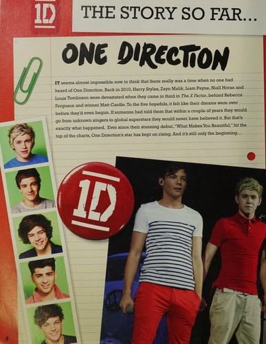 One Direction: A Year with One Direction - One Direction 路 2013