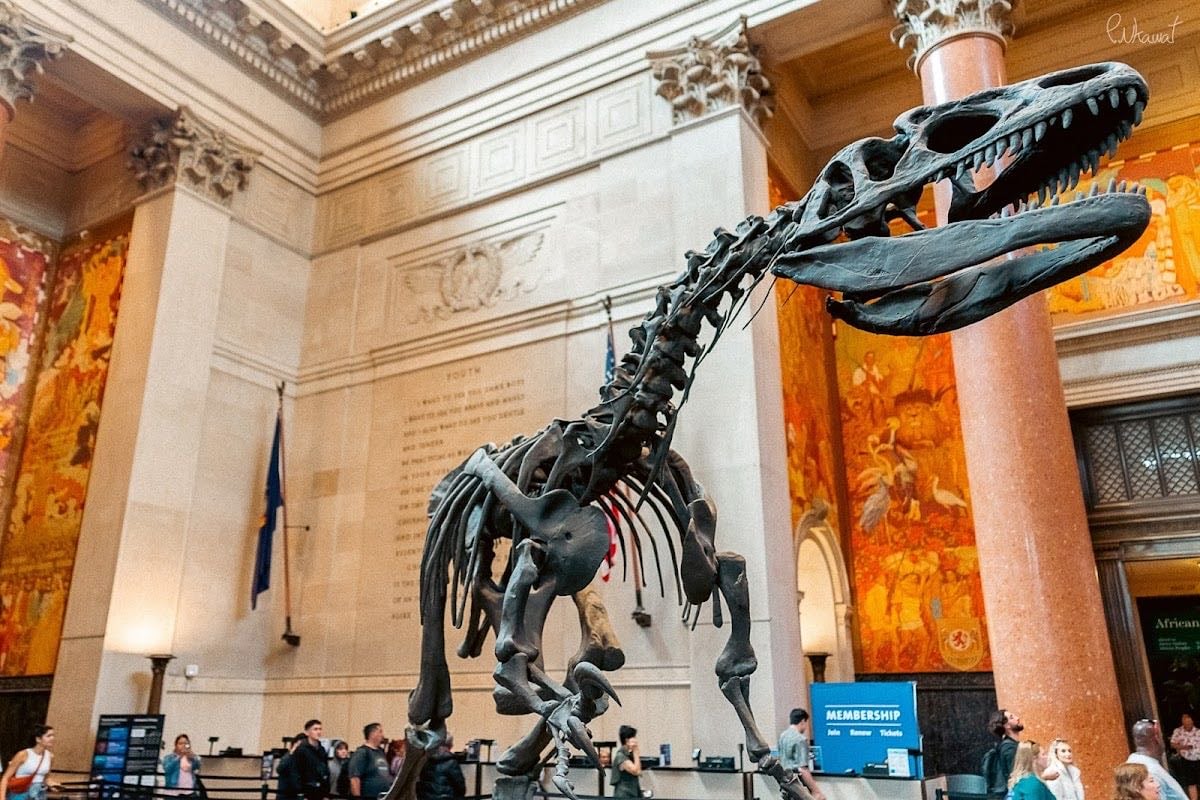 American Museum of Natural History