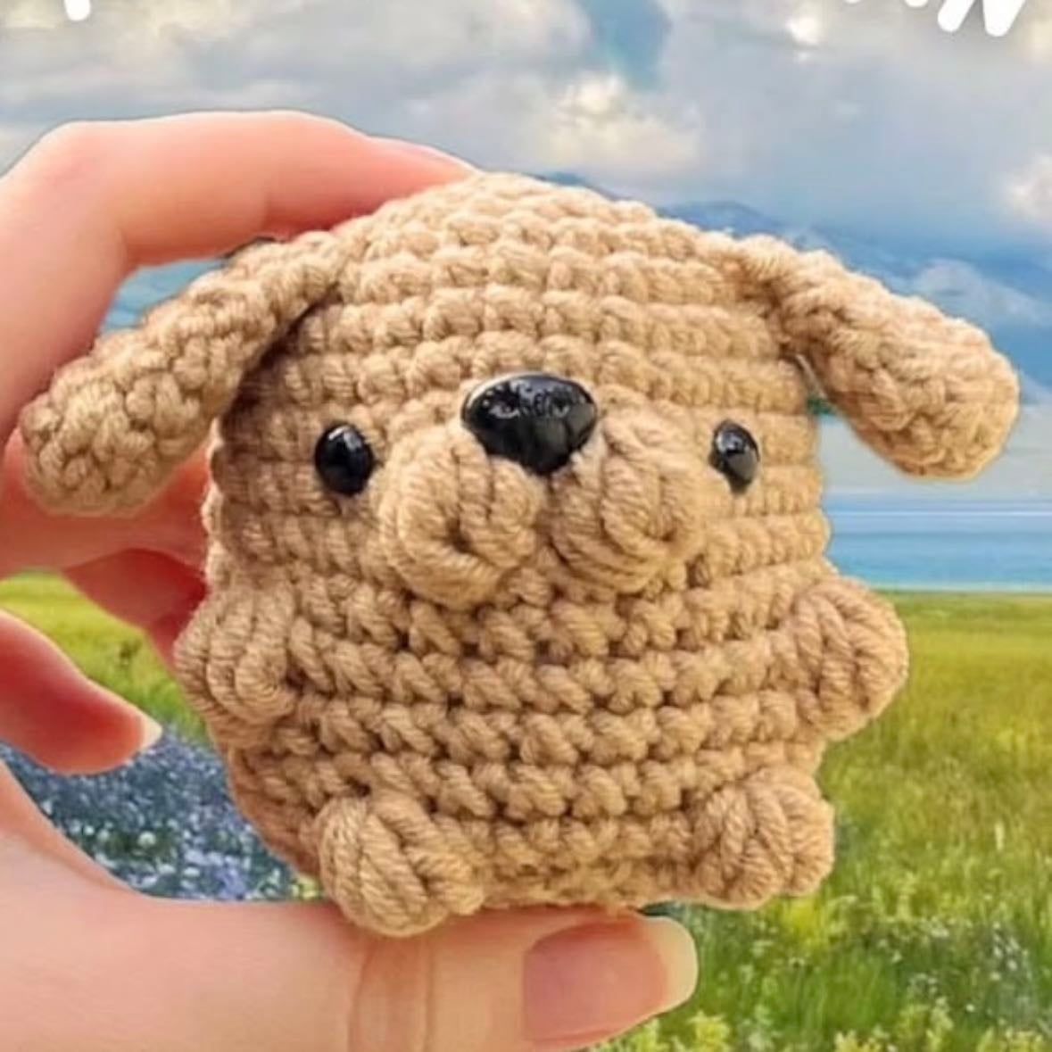 Perrito