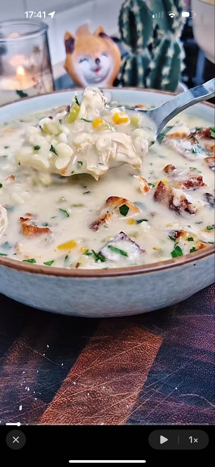 🍜soupe de poulet🍗