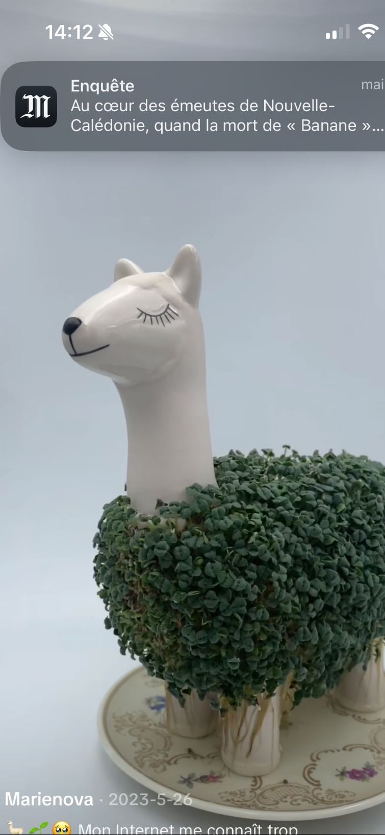 support pour graines de chia