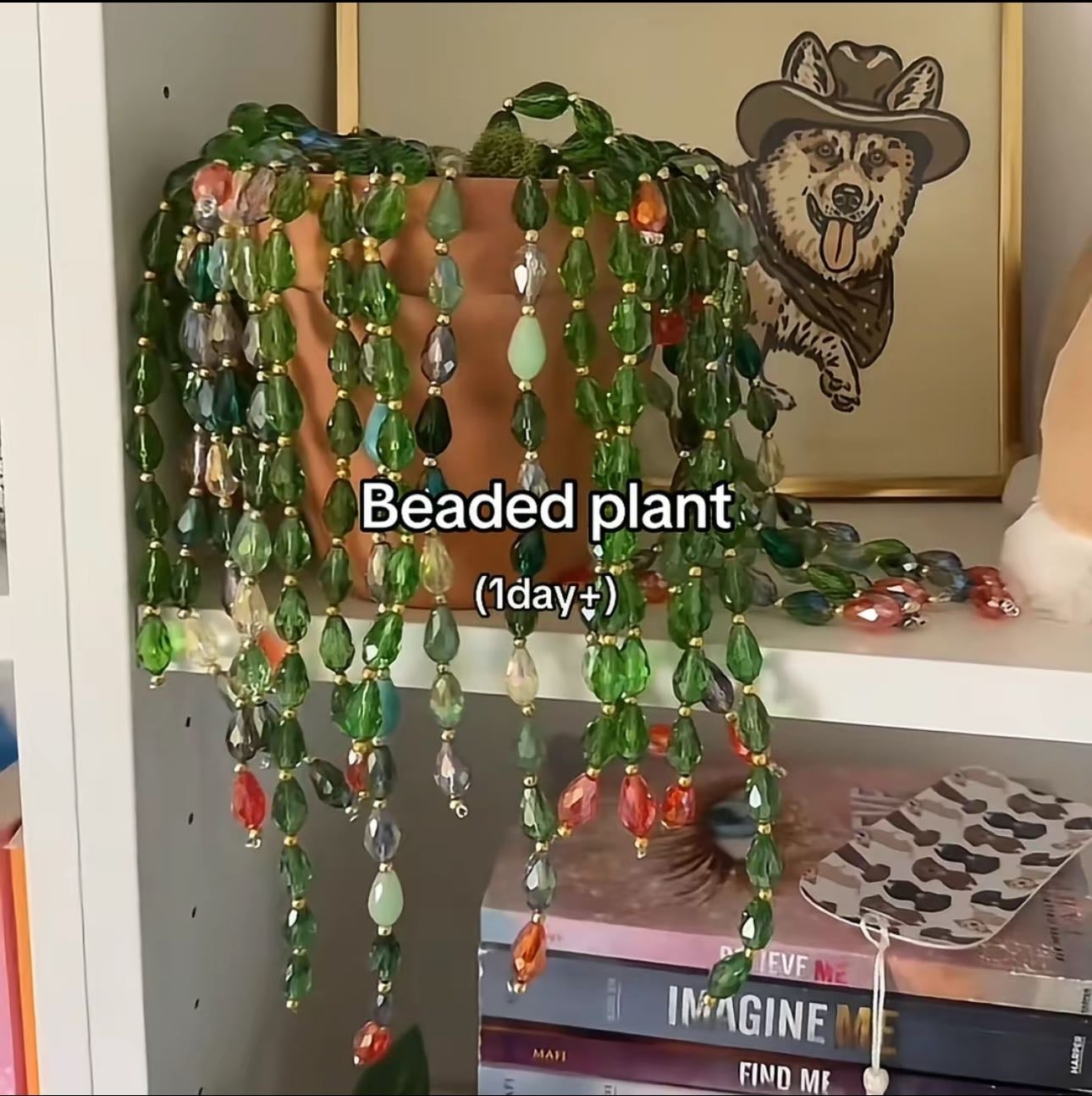 plantes en perles