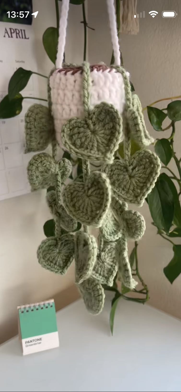 plante tombante - 🏵️ breloque