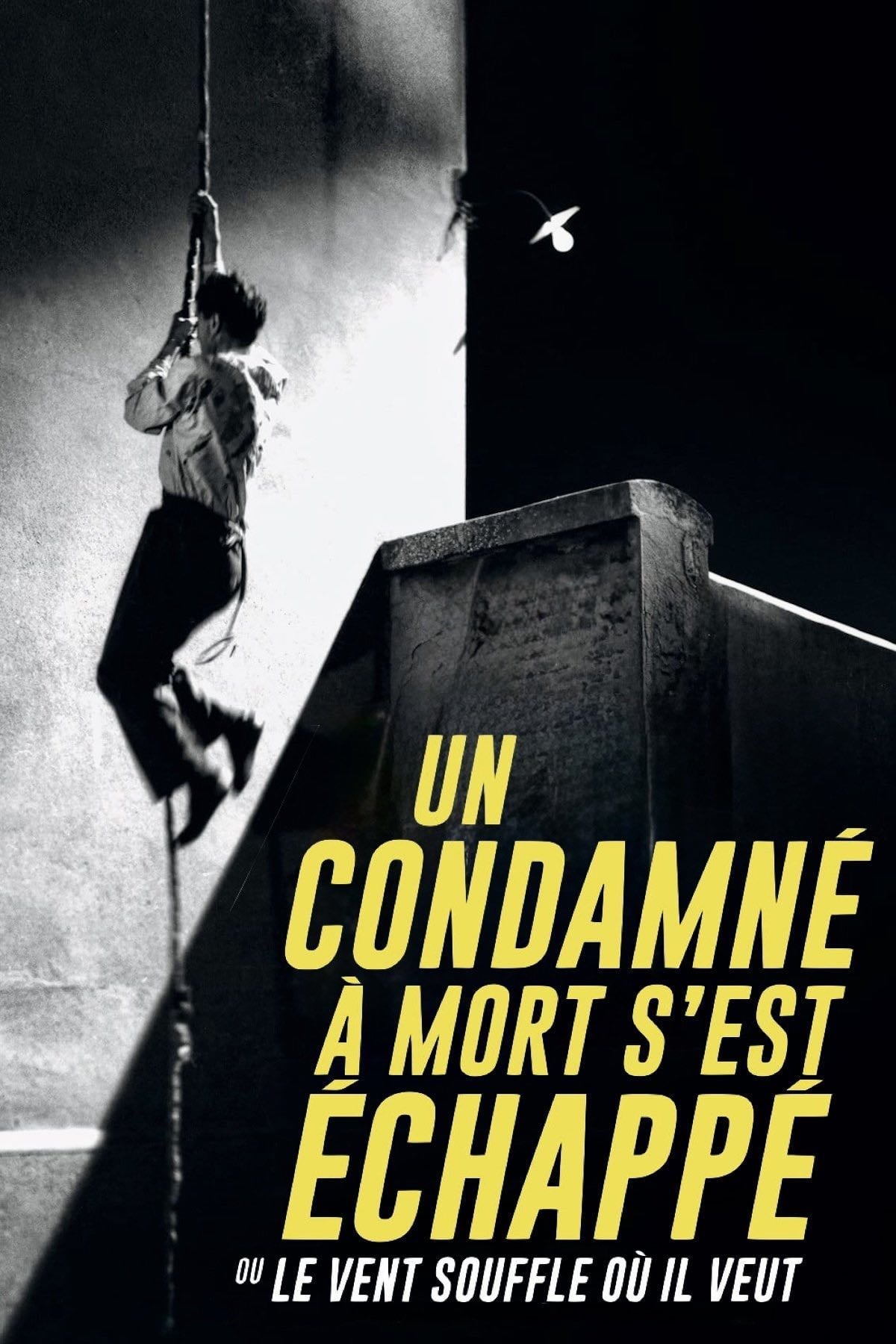 Un condamné à mort s'est échappé - Robert Bresson · 1956
_film