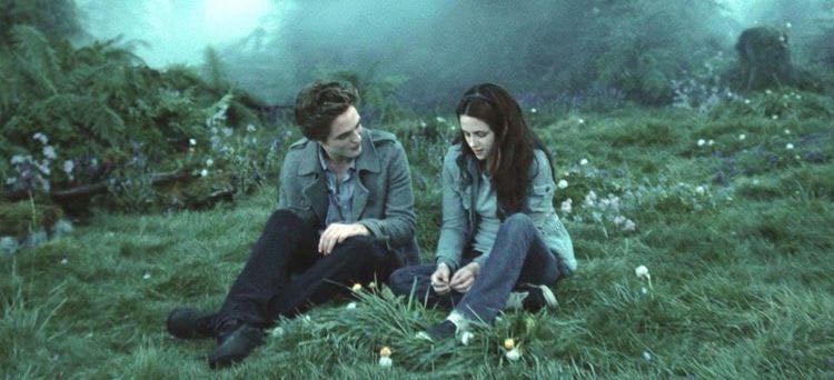 Twilight: new moon