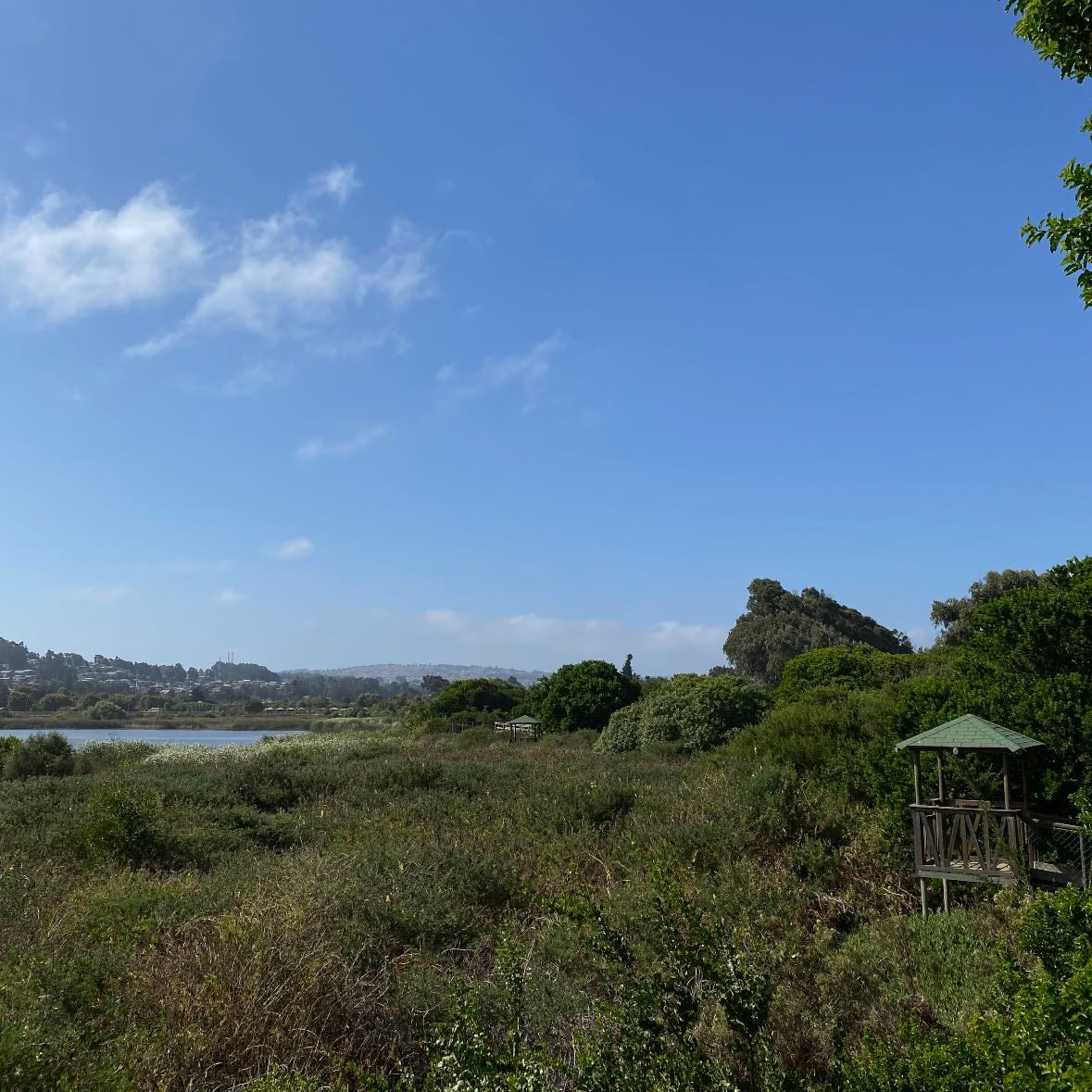 Santuario: Laguna El Peral - Caminata, fotografía y fauna nativa.