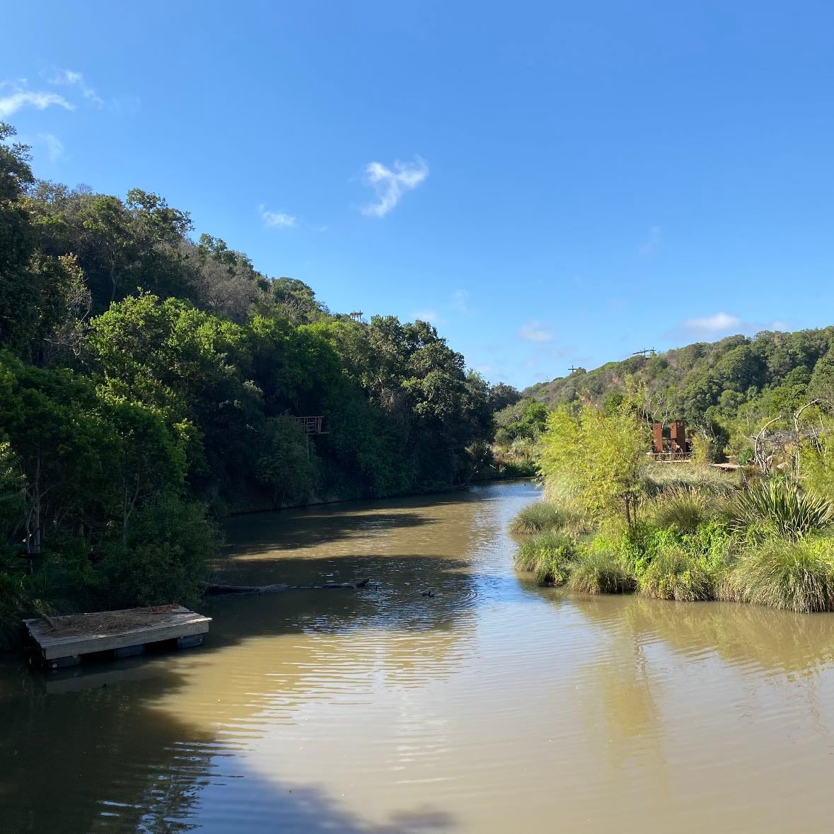 Las Brisas - Caminar, disfrutar, plantas, animales, lago