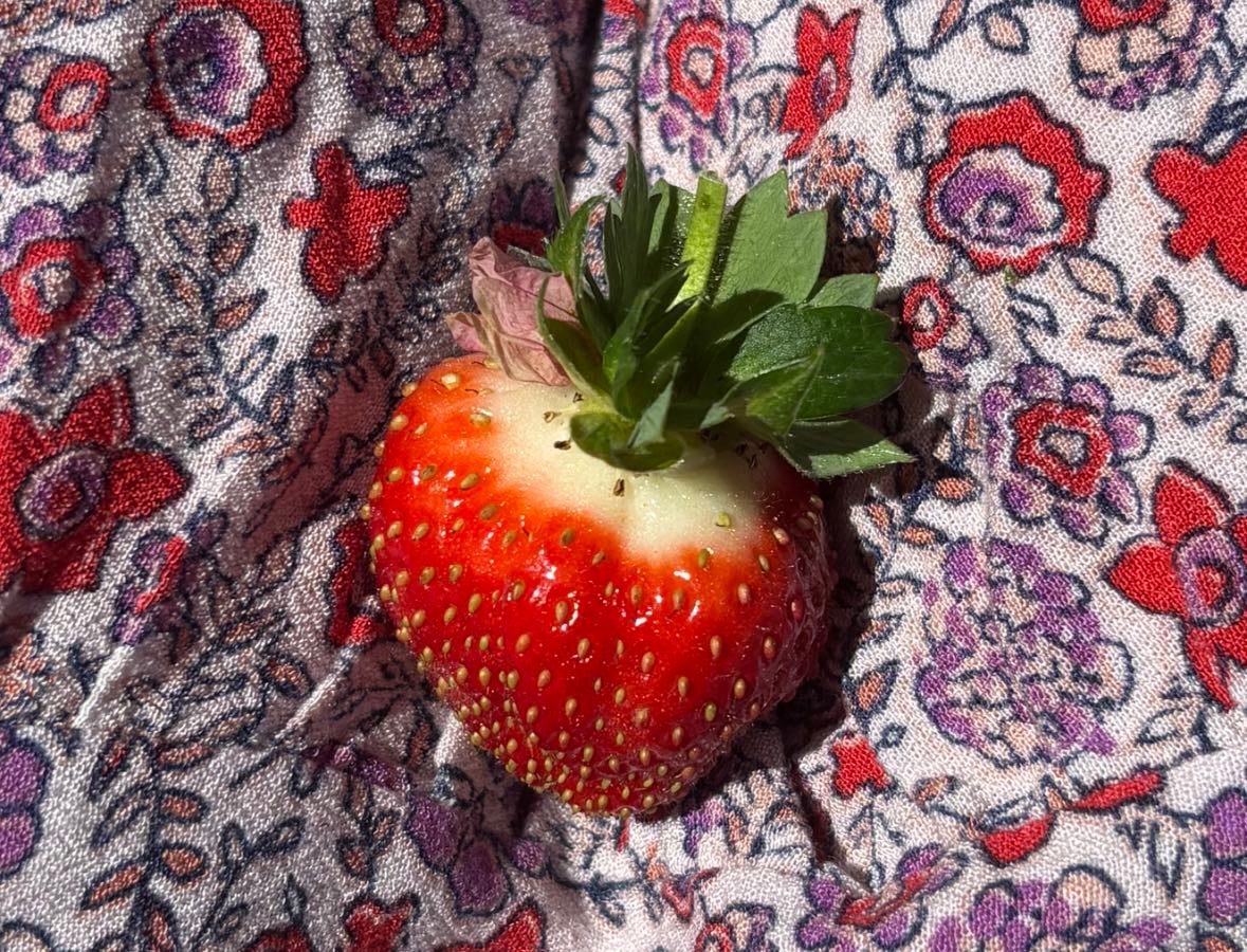 portland food - Places hypelist by Clara Johnson