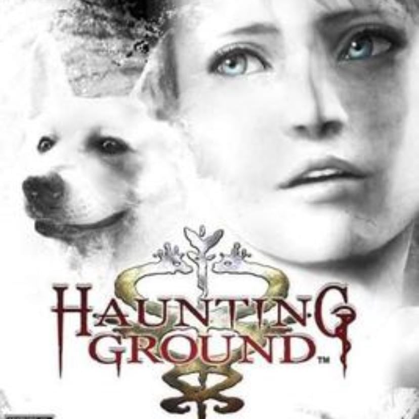 ⊹ ࣪ ˖ Haunting ground