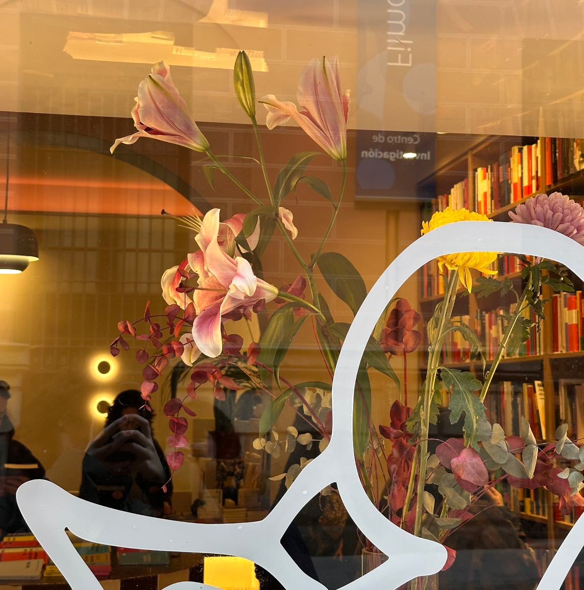 Libros que quiero enchufarme por el ano este 2026
