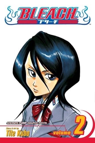 Bleach, Vol. 2 - Tite Kubo · 2004