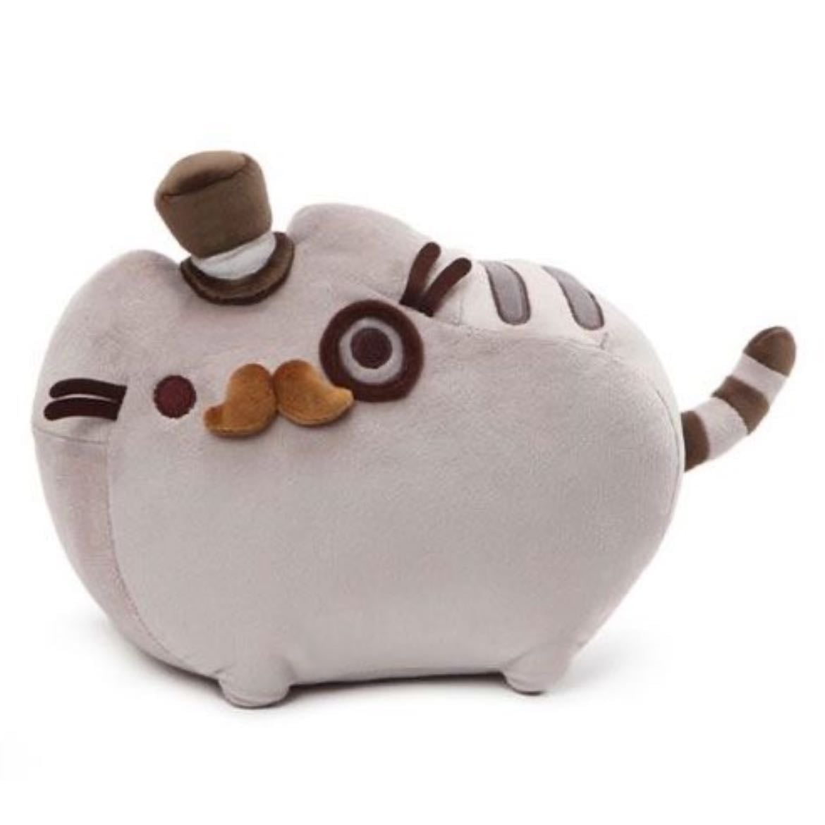 Pusheen fancy
