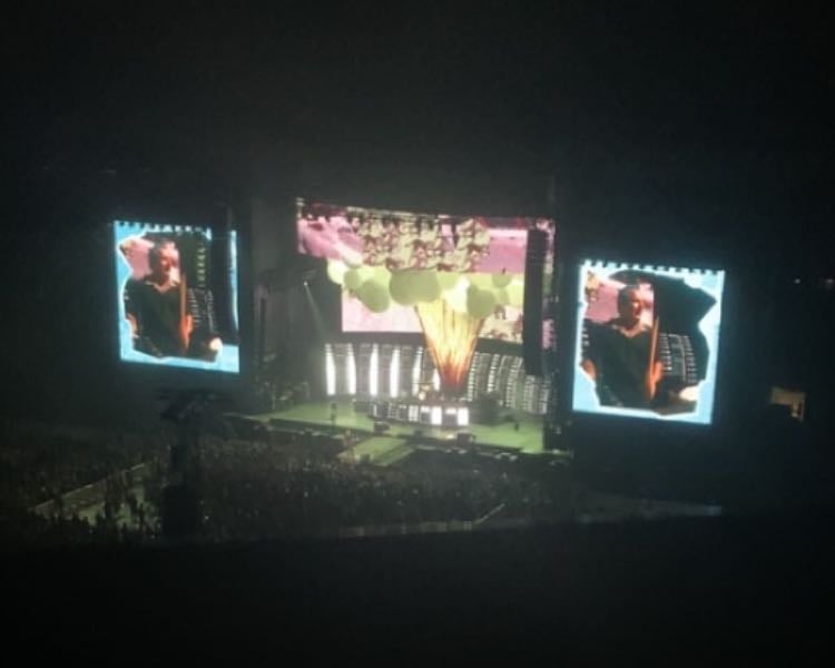 Green Day 01.08.25