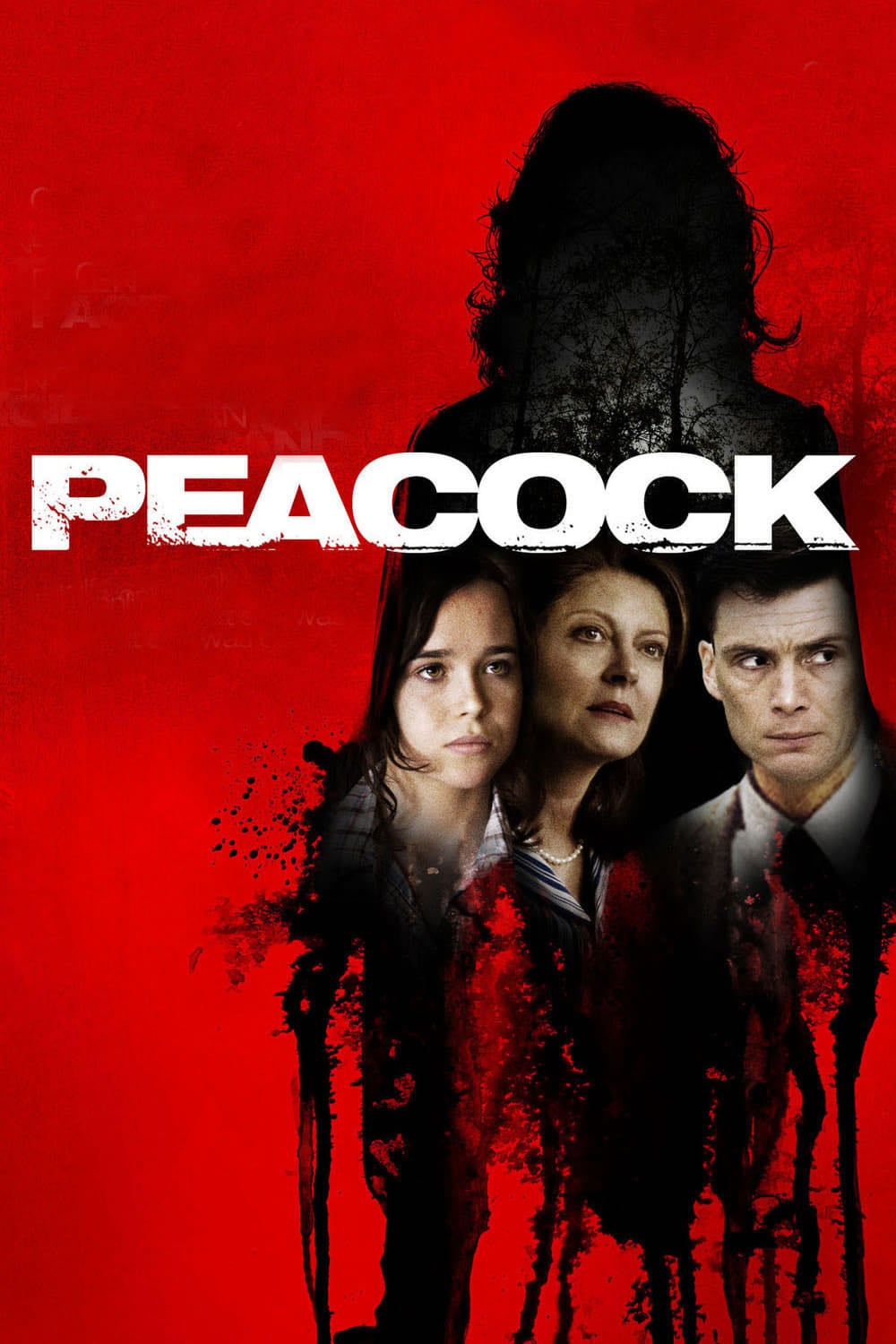 Peacock - Michael Lander · 2010