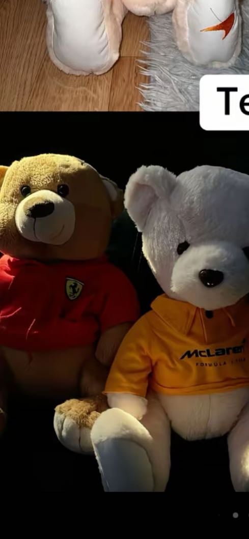 Ours en peluche