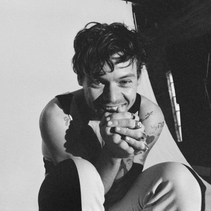 Harry styles - He saved me at the lowest points of my life