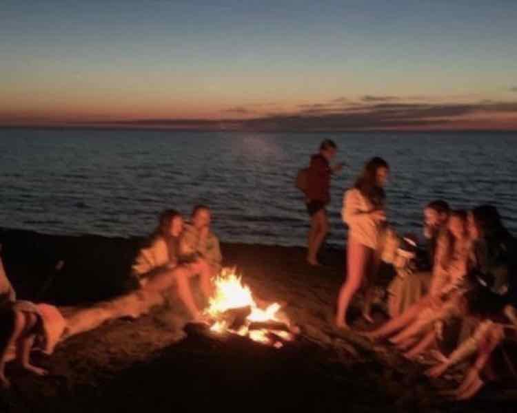 Summer movies