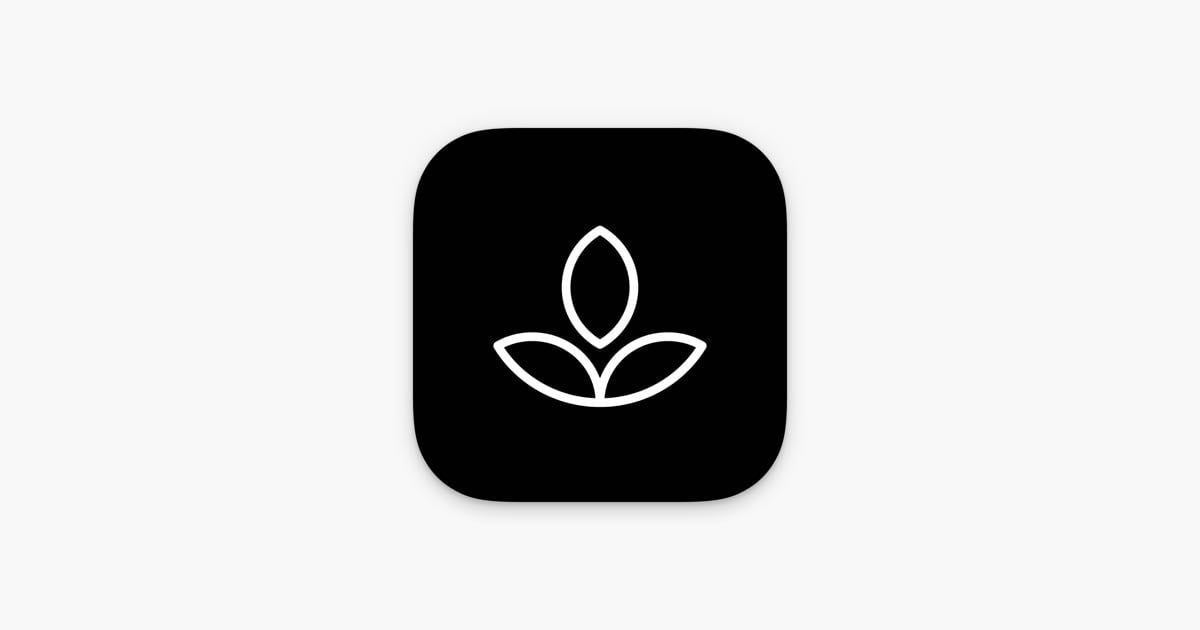 Emphasis: Flow & Focus Timer - time management and productivity