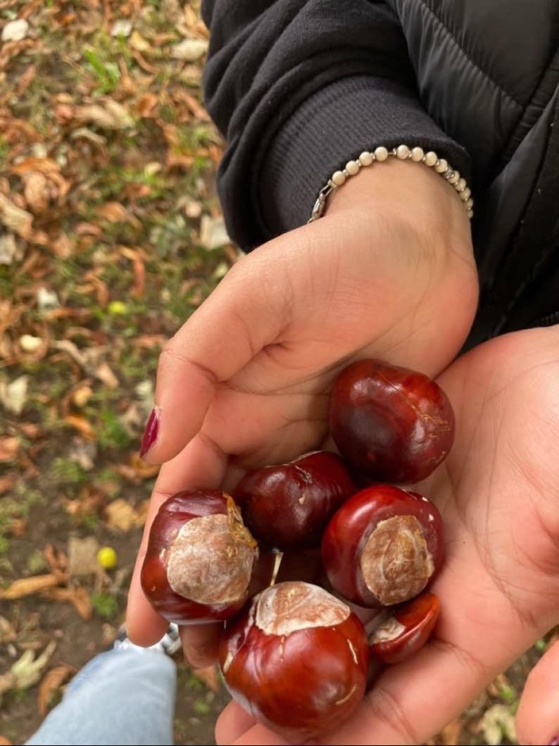 Play conkers - I won ๐คญ