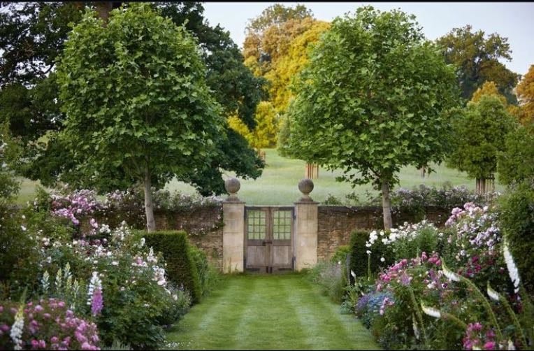 Backgarden like this