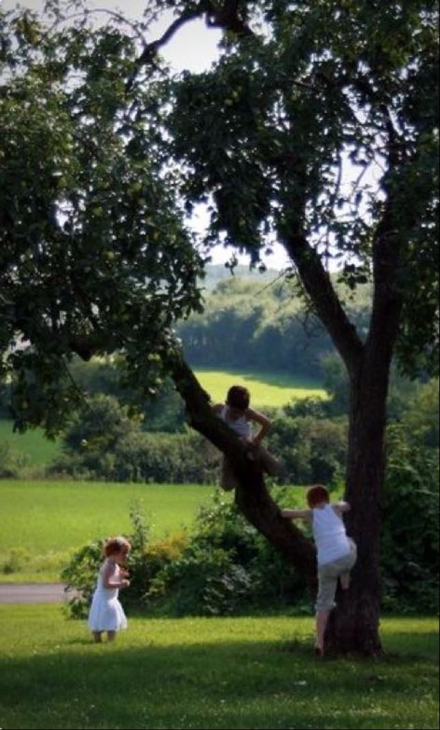 Go to the park