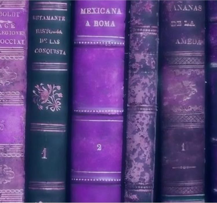 livros favs de 2026! 馃摉 - Books hypelist by bella! 馃拰