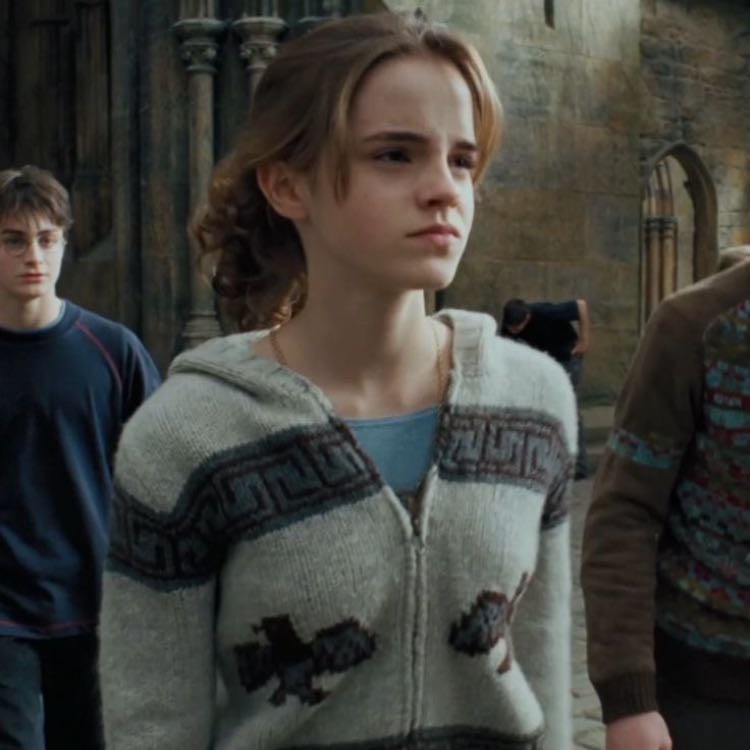 Hermione Granger - harry potter