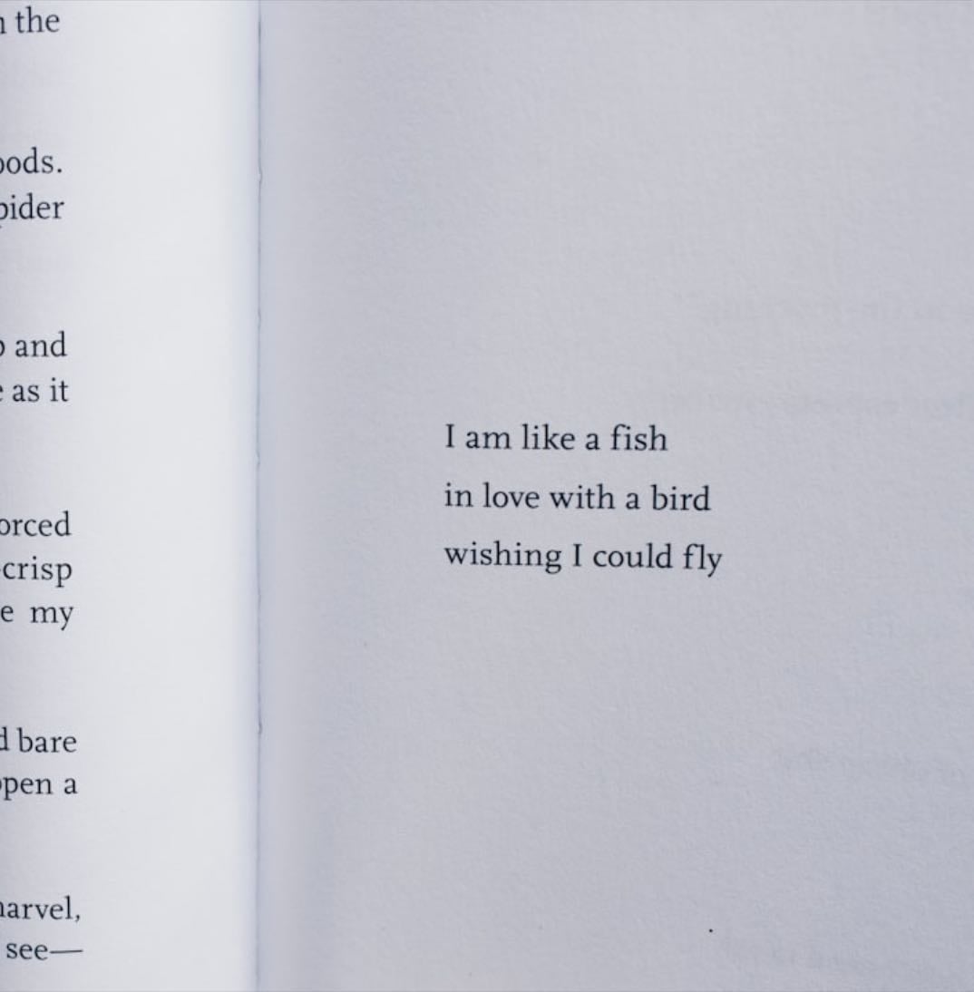 Poetry books