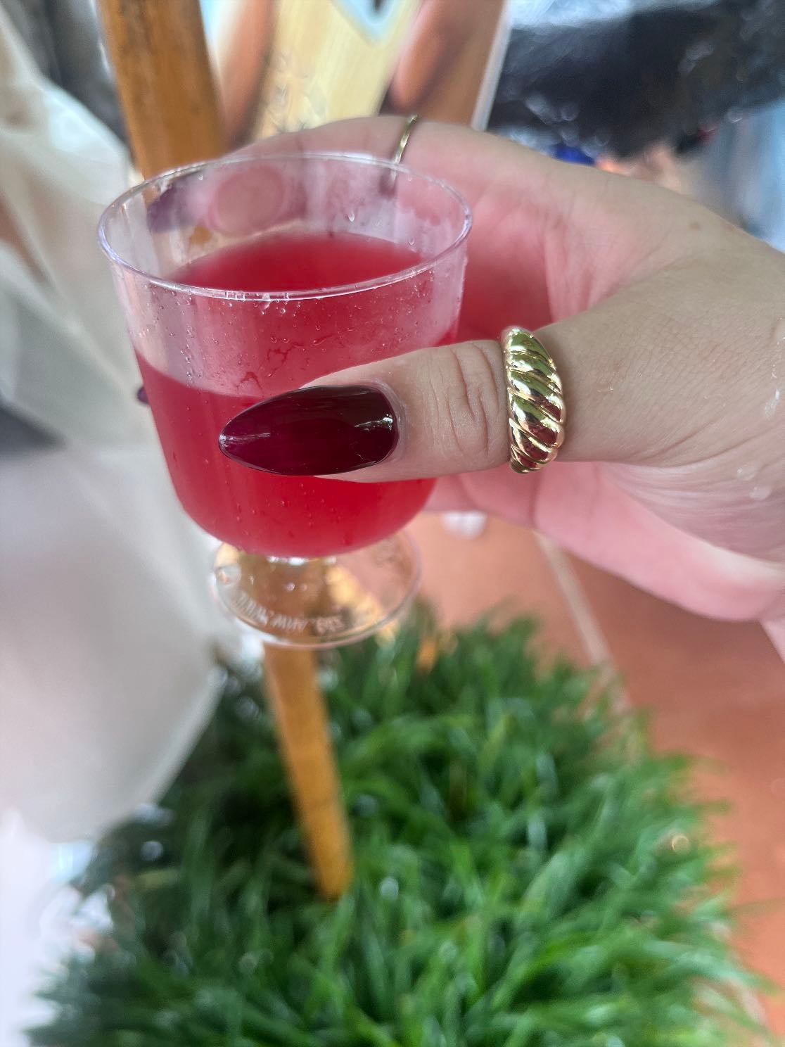 Sakepolitan - Disney EPCOT Japan