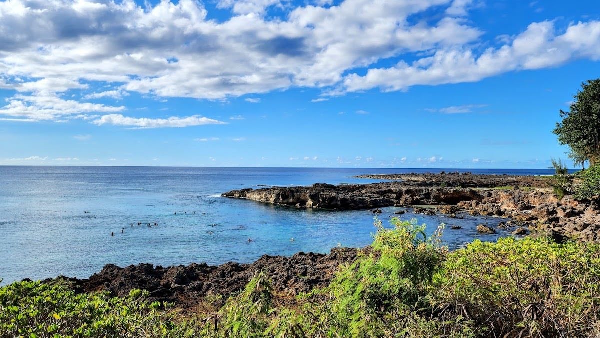 Shark’s Cove