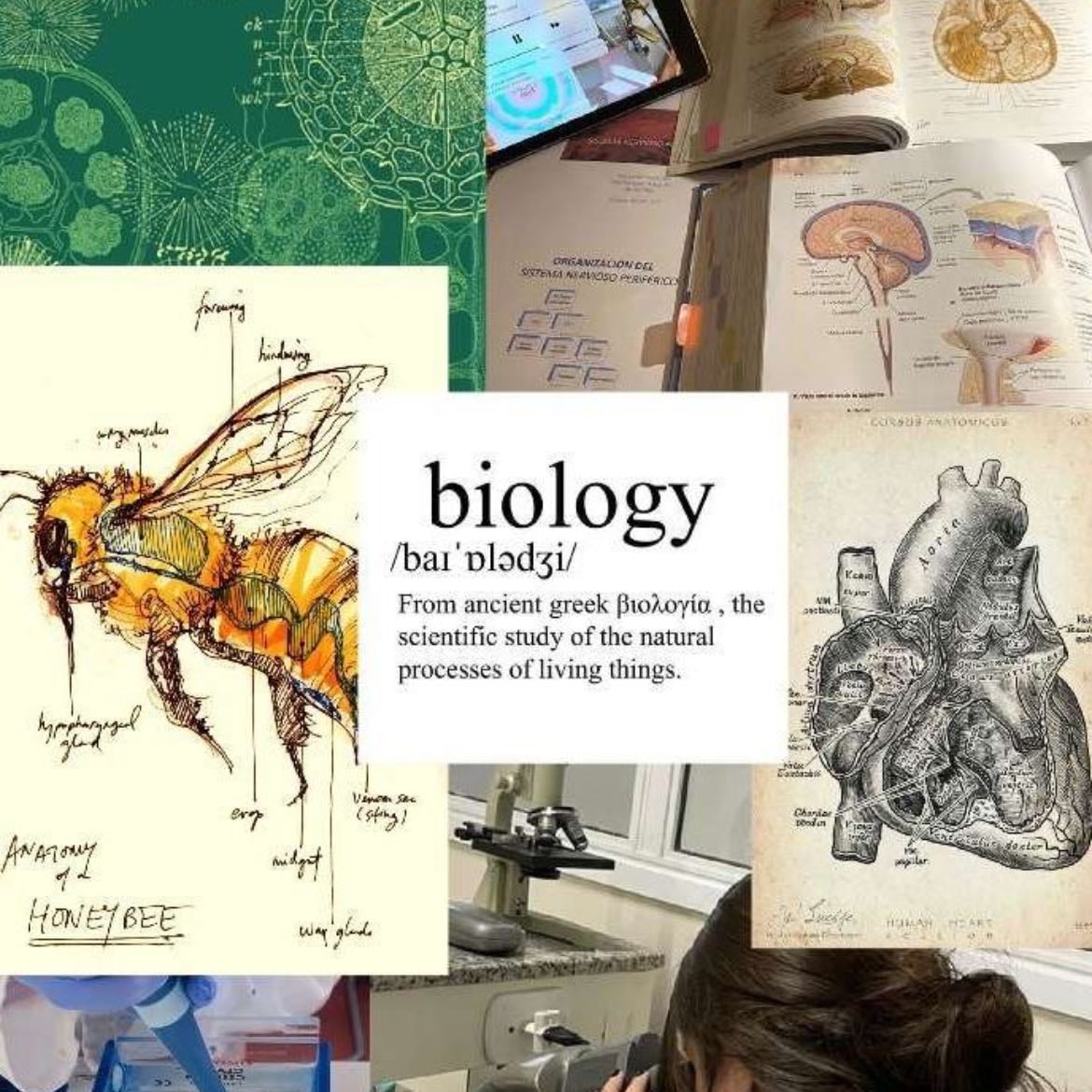 Biología