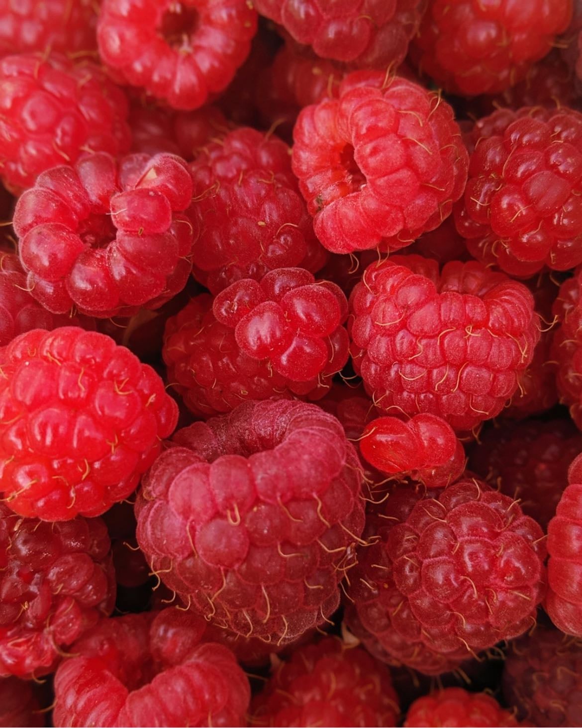 5. raspberries - so sweet and yummy love them.
