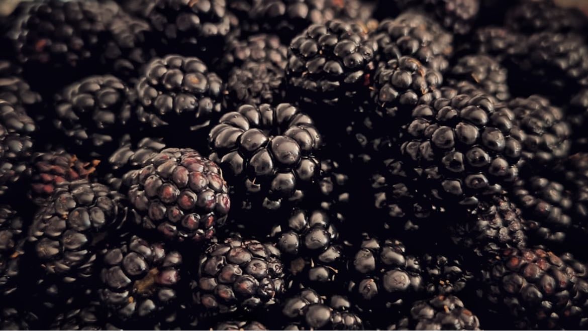4. blackberries - no words. i could eat thousands of them.